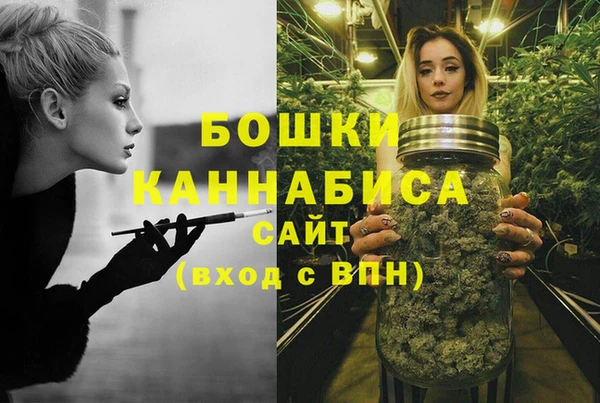 сатива Осташков