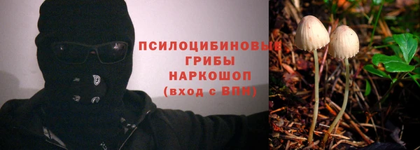spice Осинники
