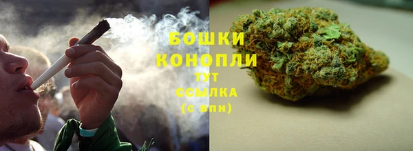 сатива Осташков