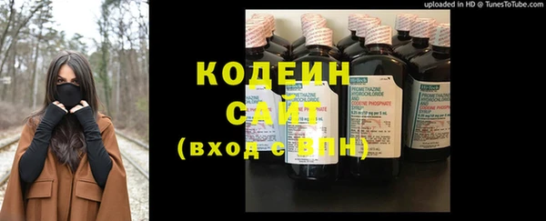 spice Осинники