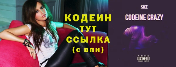 spice Осинники