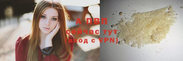 spice Осинники