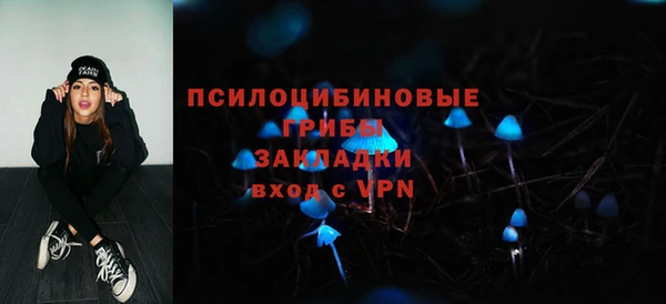 spice Осинники