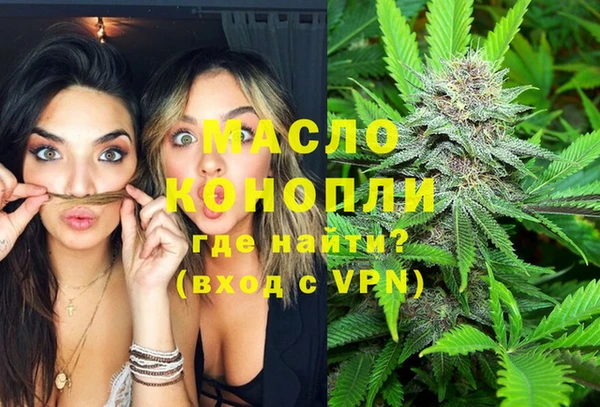 сатива Осташков
